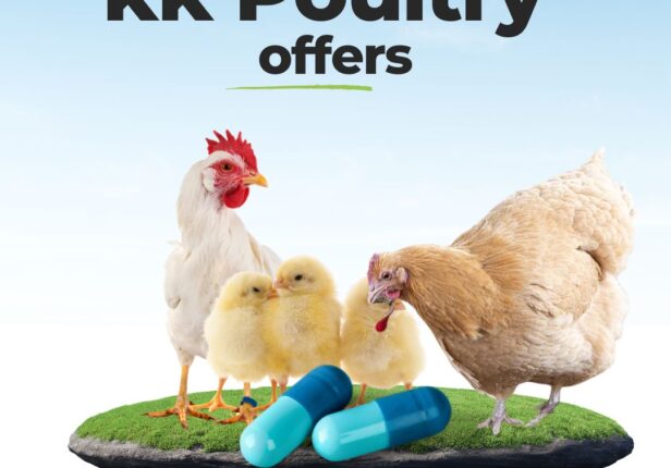What KK Poultry Offers