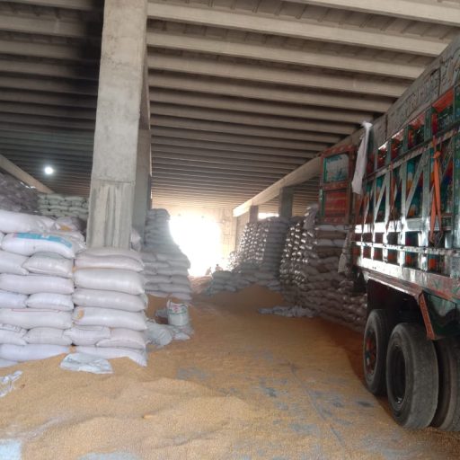 WhatsApp Image 2025-06-19 at 15.32.36